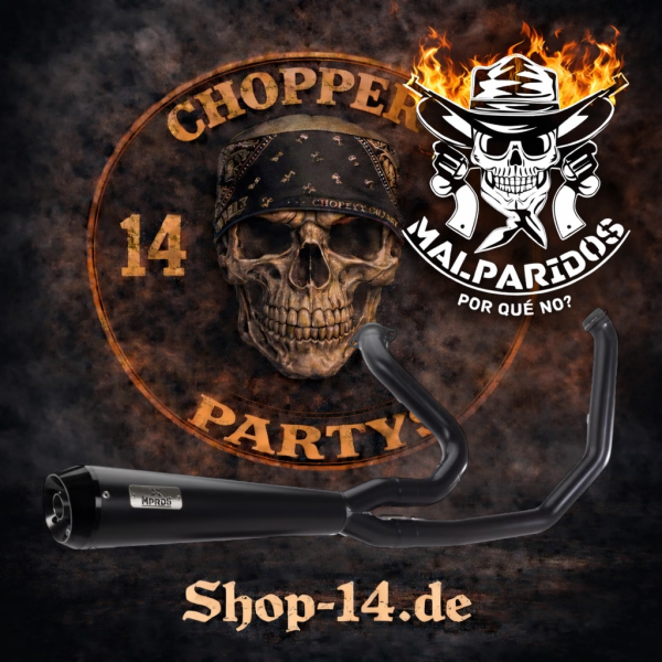 Malparidos  2-1 exhaust system in Matte Black - für Harley Davidson M8 Touring 2017 - 2024 EURO4 Euro5 Auspuffanlage ECE-Typgenehmigung