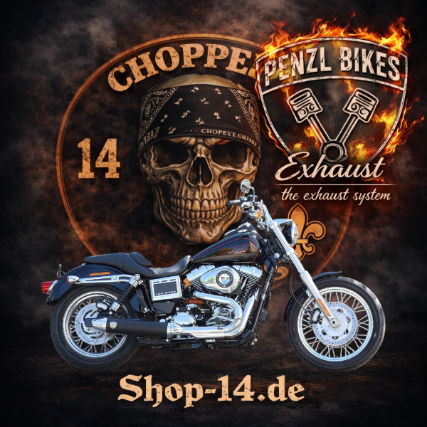 PENZL AUSPUFFANLAGE FÜR - Harley-Davidson - Dyna Low Rider 2in1 (FXDL) - Motor TC103 - Baujahr 2014 bis 2016 - nur mit manuelle Steuerung