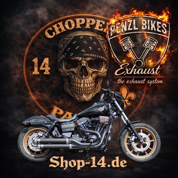 PENZL AUSPUFFANLAGE FÜR - Harley-Davidson - Dyna Low Rider S (FXDLS) - Motor TC110 - Baujahr 2010 - 2017  - mit manuelle Steuerung oder Elektronische Steuerung