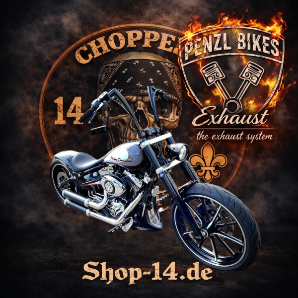 PENZL AUSPUFFANLAGE FÜR - Harley-Davidson - Softail Standard (FXST) - Motor Evolution/TC88 - Baujahr 1984 bis 2006