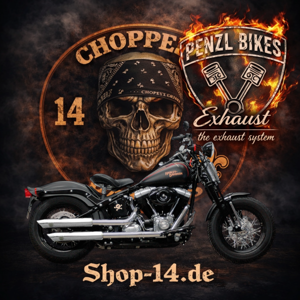 PENZL AUSPUFFANLAGE FÜR - Harley-Davidson - Cross Bones (FLSTSB) - Motor TC96 - Baujahr 2007 bis 2011