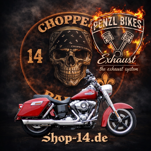 PENZL AUSPUFFANLAGE FÜR - Harley-Davidson - Dyna Switchback (FLD) - Motor TC103 - Baujahr 2012 bis 2016  - nur mit manuelle Steuerung