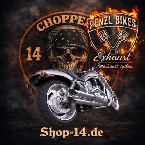 PENZL AUSPUFFANLAGE FÜR - V-ROD (VRSCB) - Harley-Davidson - Alle Motoren - Baujahr 2002 bis 2006
