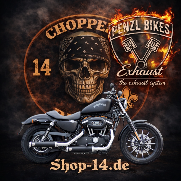 PENZL AUSPUFFANLAGE FÜR - Harley-Davidson - 1200 Forty-Eight Special (XL1200XS) - Motor 1200 - Baujahr 2018 bis 2020 - nur mit elektronische Steuerung
