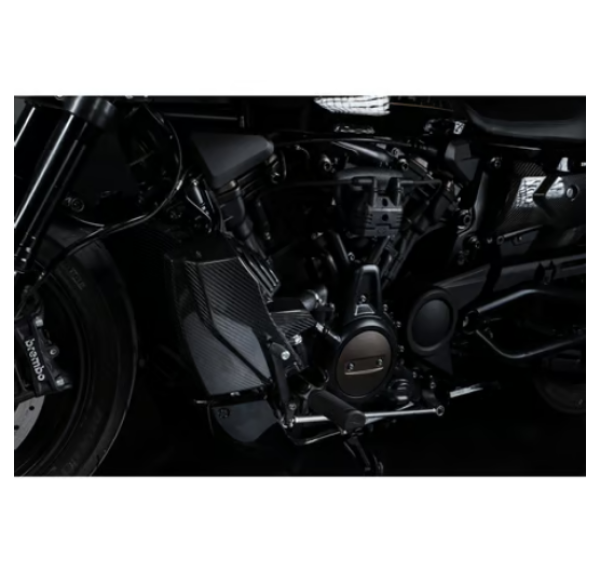 Zard - carbon radiator cover and side panel kit - für Harley-Davidson® 21-26 RH1250S Sportster S
