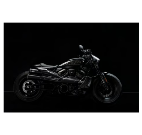 Zard - carbon radiator cover and side panel kit - für Harley-Davidson® 21-26 RH1250S Sportster S