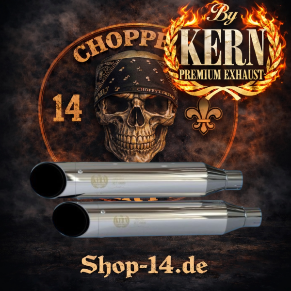 KERN - 2 in 2 Verstellbare Auspuffanlage  - HARLEY SPORTSTER 883 -  BJ. 2014 bis 2017 in Poliert