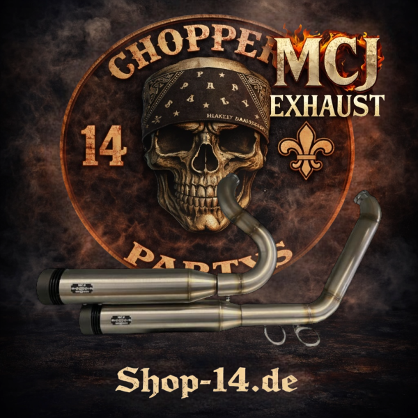 MCJ - 2 in 2 Big Short, in Edelstahl Schweißoptik, mit Krümmer, Hitzeschutz (mit oder ohne Löcher), Halterungen und  Endkappen wählbar - DYNA LOW RIDER VON 2014 BIS 2016