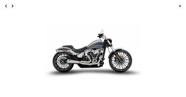 Zard - M8 Softail 2-1 Short Cone exhaust system. Plain - für Harley-Davidson® 18-24 Softail Breakout 117, Fat Boy 114 Auspuffanlage Auspuff