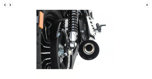 Zard - Sport 2-1 exhaust XL Sportster. Polished - für Harley-Davidson® 14-16 XL883/1200 Sportster Auspuffanlage Auspuff