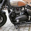 Motorschrauben Set - für Triumph Thunderbird / -Sport