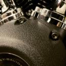 Motorschrauben Set - für Harley Davidson Revolution X Street Modelle