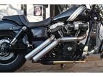 BSL Firestarter Auspuffanlage, roh Hole Hitzeschild, poliert glatt Endkappe, Outline 2,5