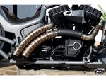 BSL Exhaust Rainbow V2 Snake on the Road Exhaust System , Black Hole Heat Shield, Black Smith and Listen End Cap, Outline 2,5" - BSL Auspuffanlage für Harley Davidson 87-16 Softail