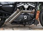 BSL EXHAUST Firestarter Exhaust System , Raw Hole Heat Shield, Black Smooth Endcap, Outline 2,5"  - BSL Auspuffanlage für Harley Davidson 04-16 Sportster, (except 08-10 XR1200, 10-13 XR1200X)