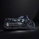 MCJ - 2 in 2 Big Short, in Schwarz oder Chrom, mit Krümmer, Hitzeschutz (mit oder ohne Löcher), Halterungen und  Endkappen wählbar - 975 NIGHTSTER AB BJ.2021 EURO 5